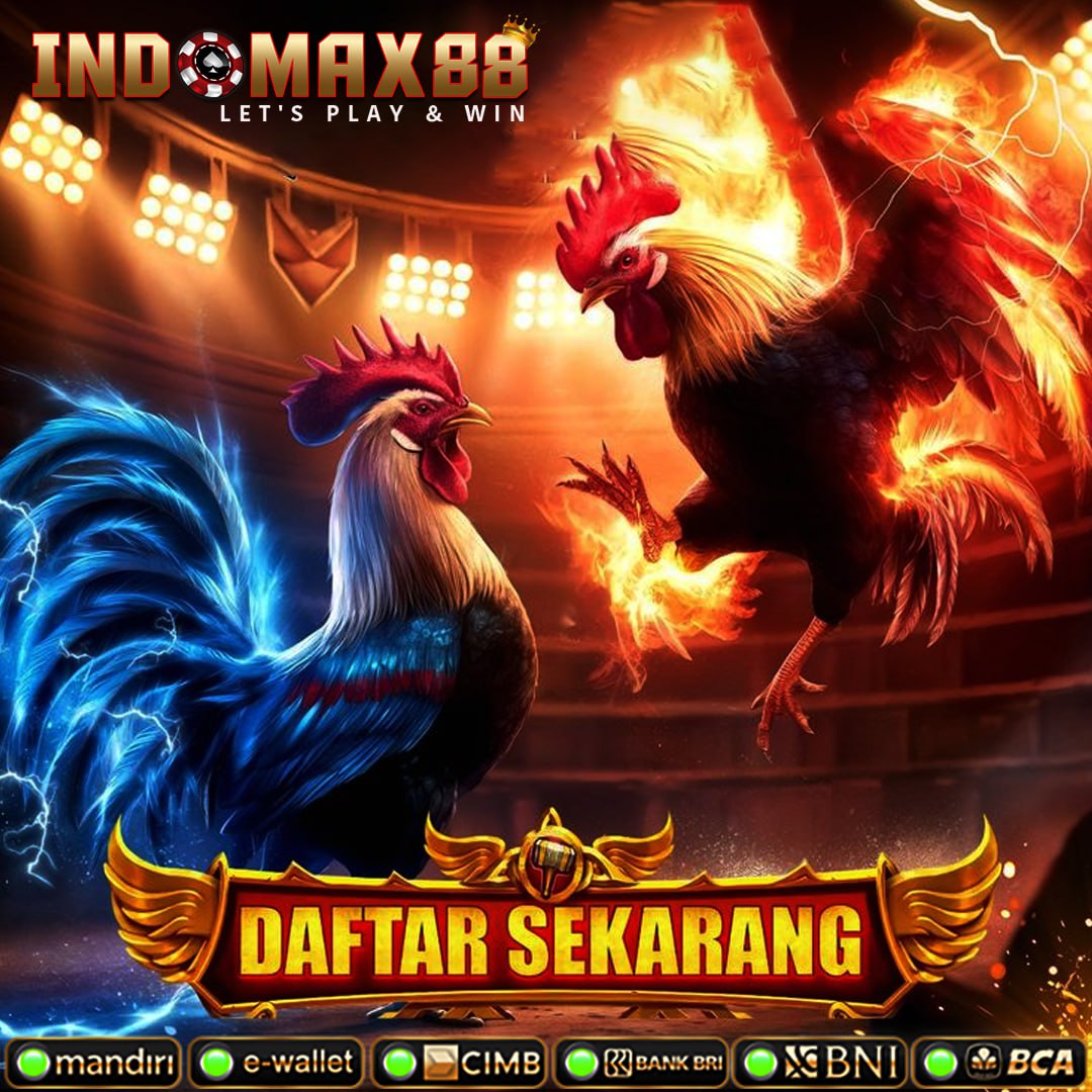 SV388 🐔 Situs Sabung Ayam Online Bali Resmi 24 Jam Terpercaya No 1 Asia